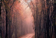 开云平台-当紫金军团遇上日耳曼战车：一场改写体育商业版图的跨界烽烟