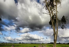 开云体育入口-最新世界杯：德国止步掘金！技术统计揭开钢铁战车熄火真相