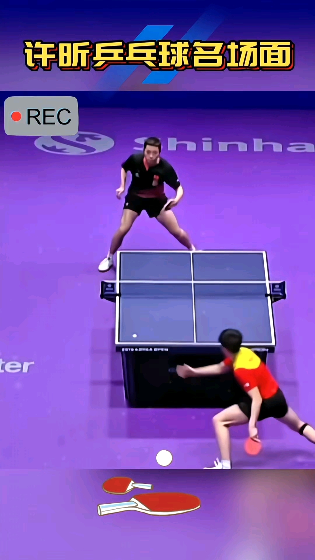 法国乒乓球队血洗瑞典乒乓球队，许昕统治全场