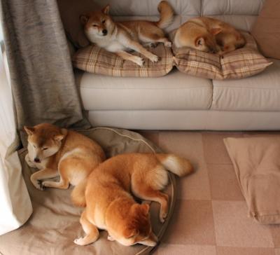 冰与火的鏖战，韩国铁壁对决瑞典锋芒，林高远一剑惊破斯德哥尔摩的夜