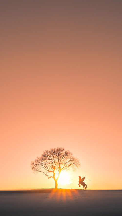 当火箭刺破夜空的刹那,西亚卡姆在硬仗废墟上称王
