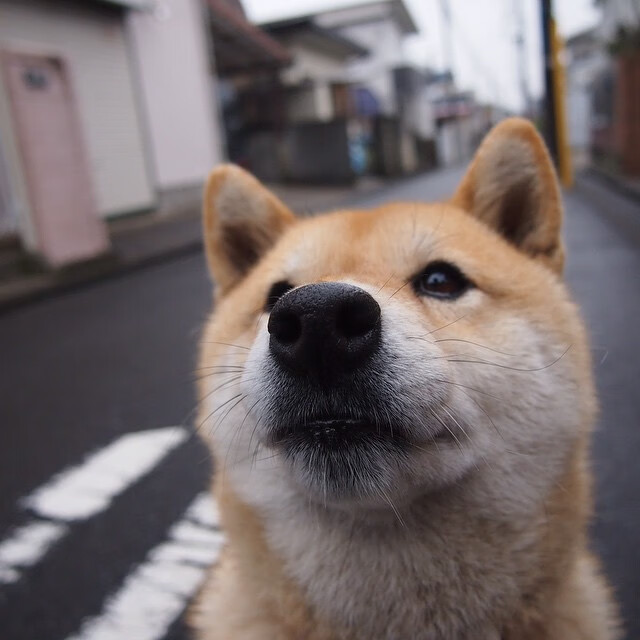 开云sport-火力全开！贝恩单骑救主，掘金攻防链条绞杀奇才实录