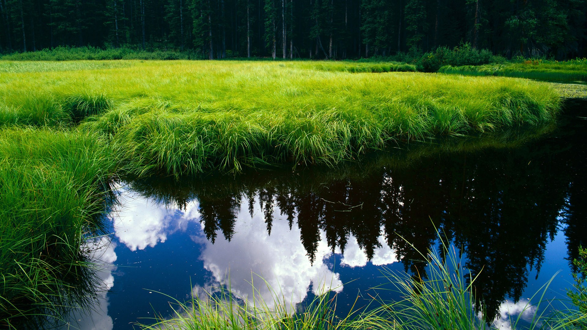 开云体育在线-绿茵节奏博弈，日本正面击溃尼日利亚的战术启示与卢卡库的掌控艺术