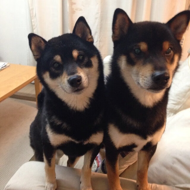 恩佐的大场面,土耳其足球如何逆袭拿下中国