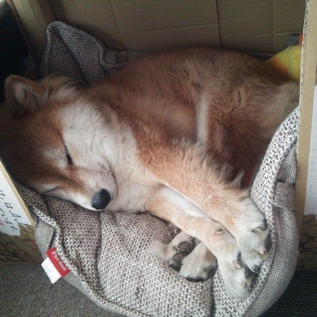 鬼魅弧线破僵局，三笘薰成为多特蒙德惊险晋级的唯一答案