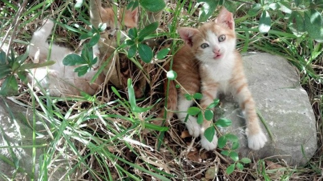 当美式冲击波撞上红蓝哲学，孔德如何成为巴萨防线的定海神针？