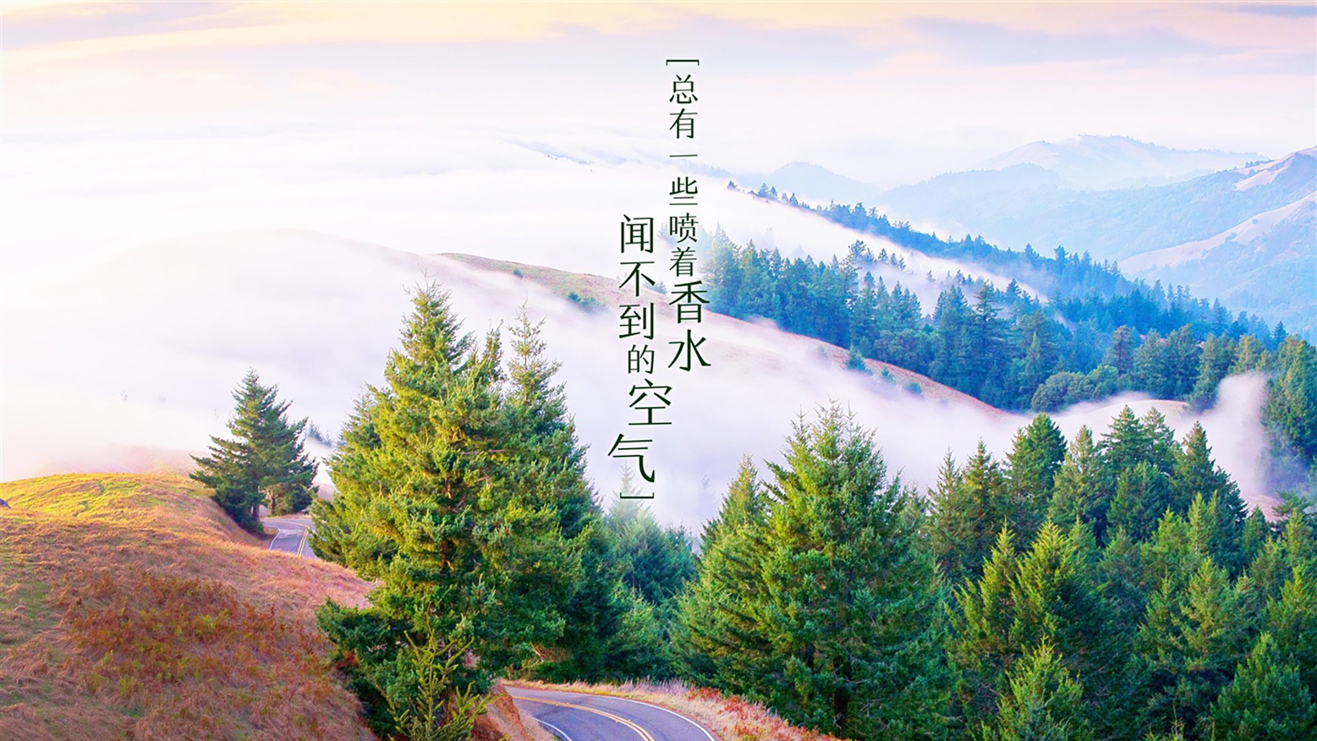 开云体育平台APP-中场指挥家的无声独奏，当若日尼奥的节拍器扼住那不勒斯的脉搏