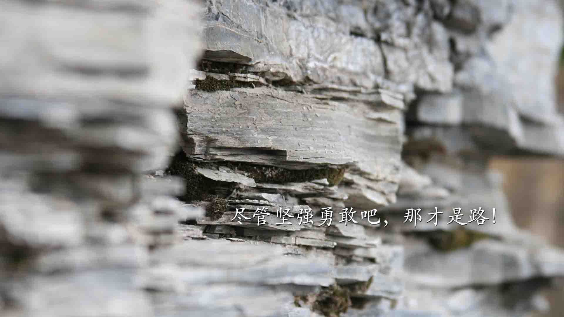 开云体育登录-蓝海孤鹰折翼，2026世界杯F组焦点战，塔雷米三刀破日耳曼铁甲